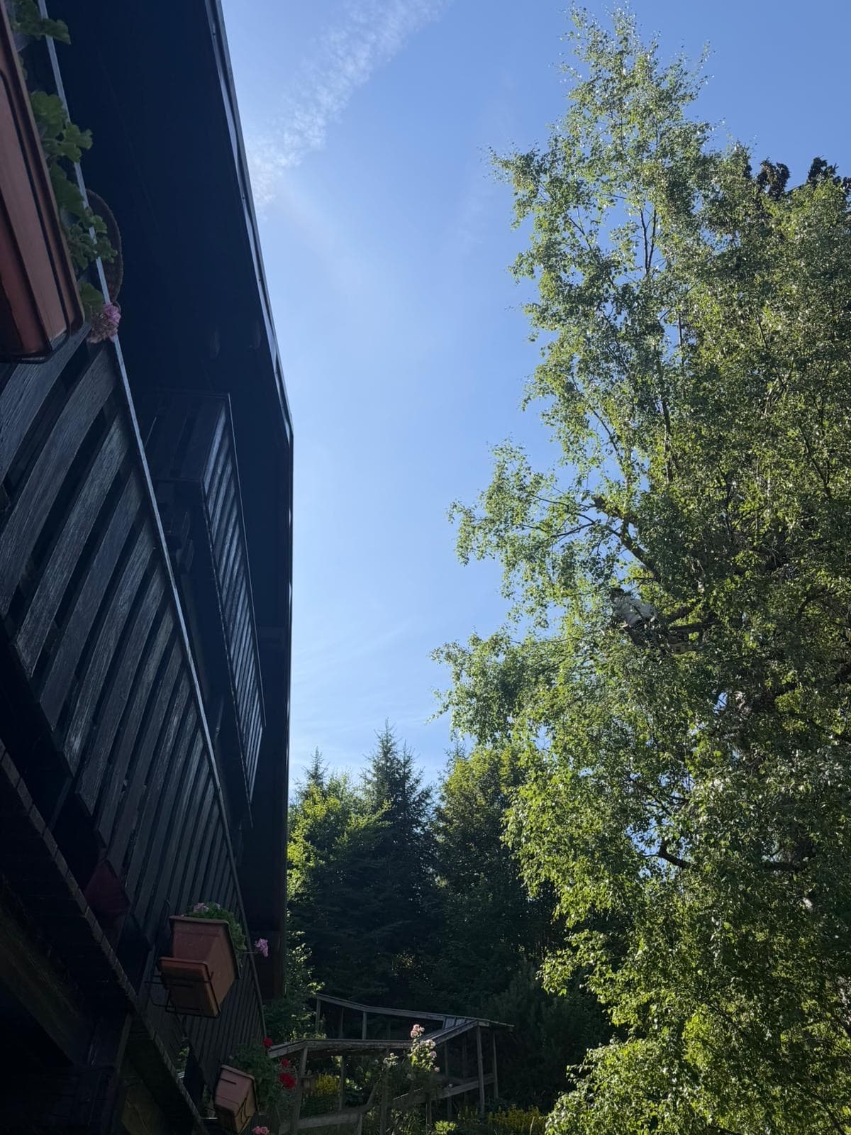 Chantier JM Élagage Viuz-en-Sallaz — réalisation 8