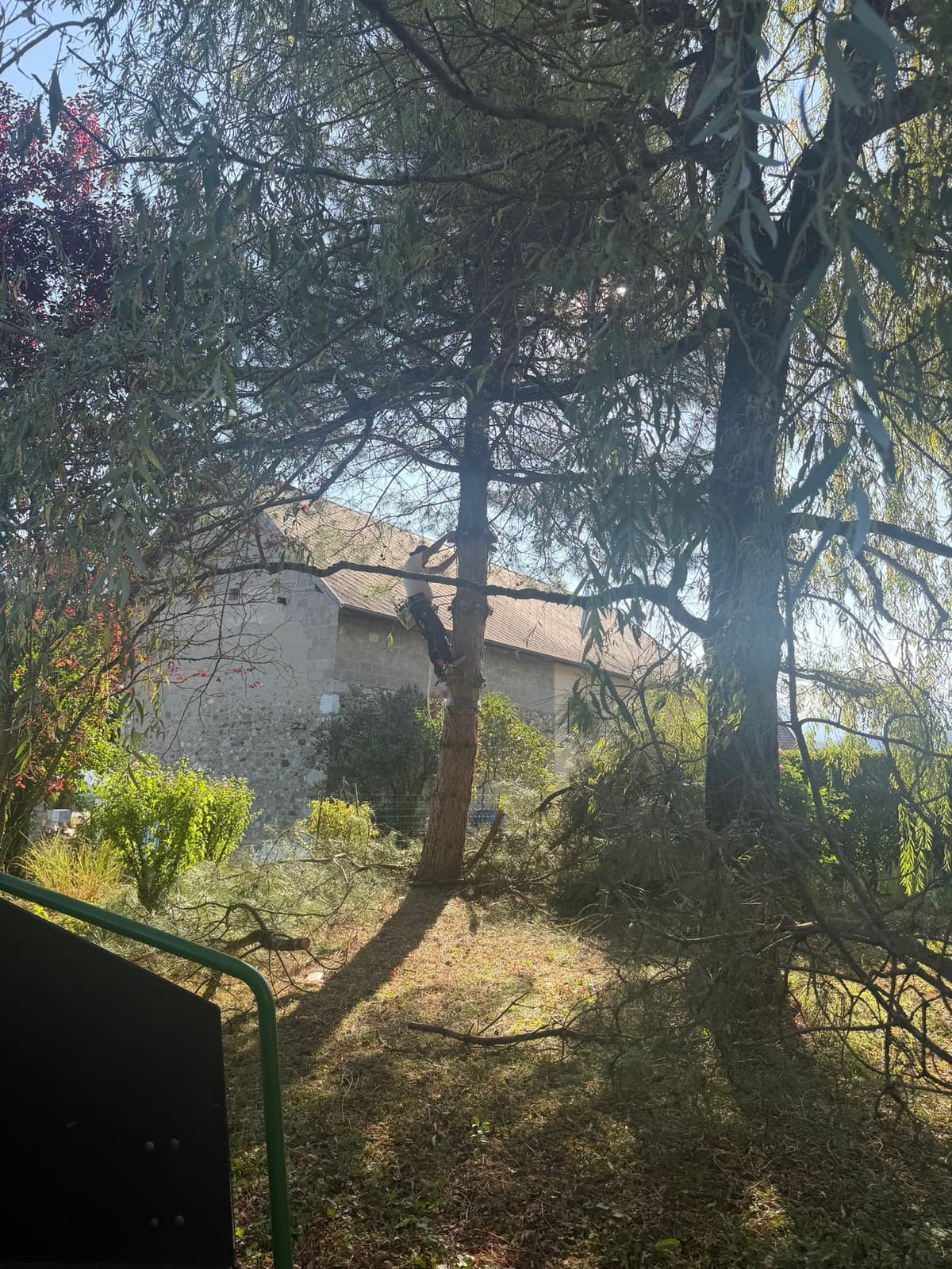 Chantier JM Élagage Viuz-en-Sallaz — réalisation 2