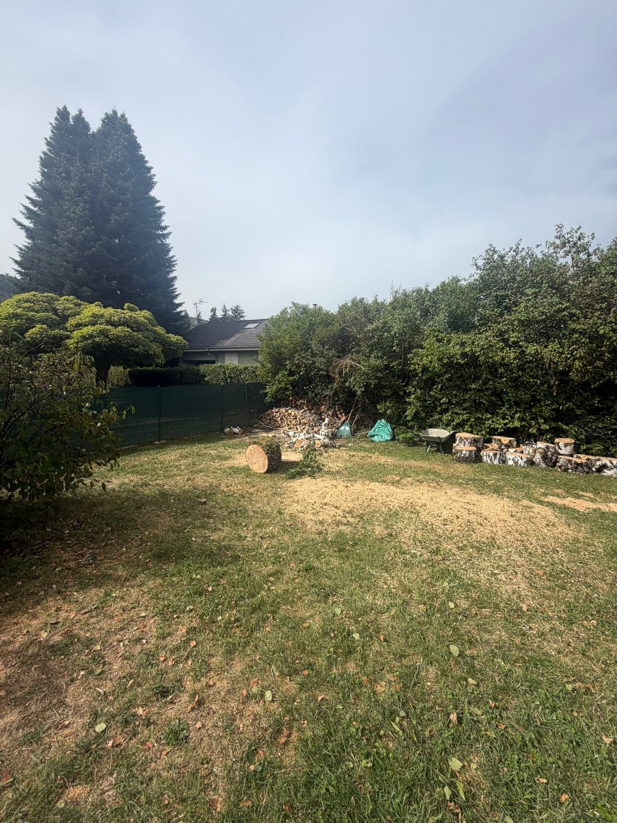 Chantier JM Élagage Viuz-en-Sallaz — réalisation 7